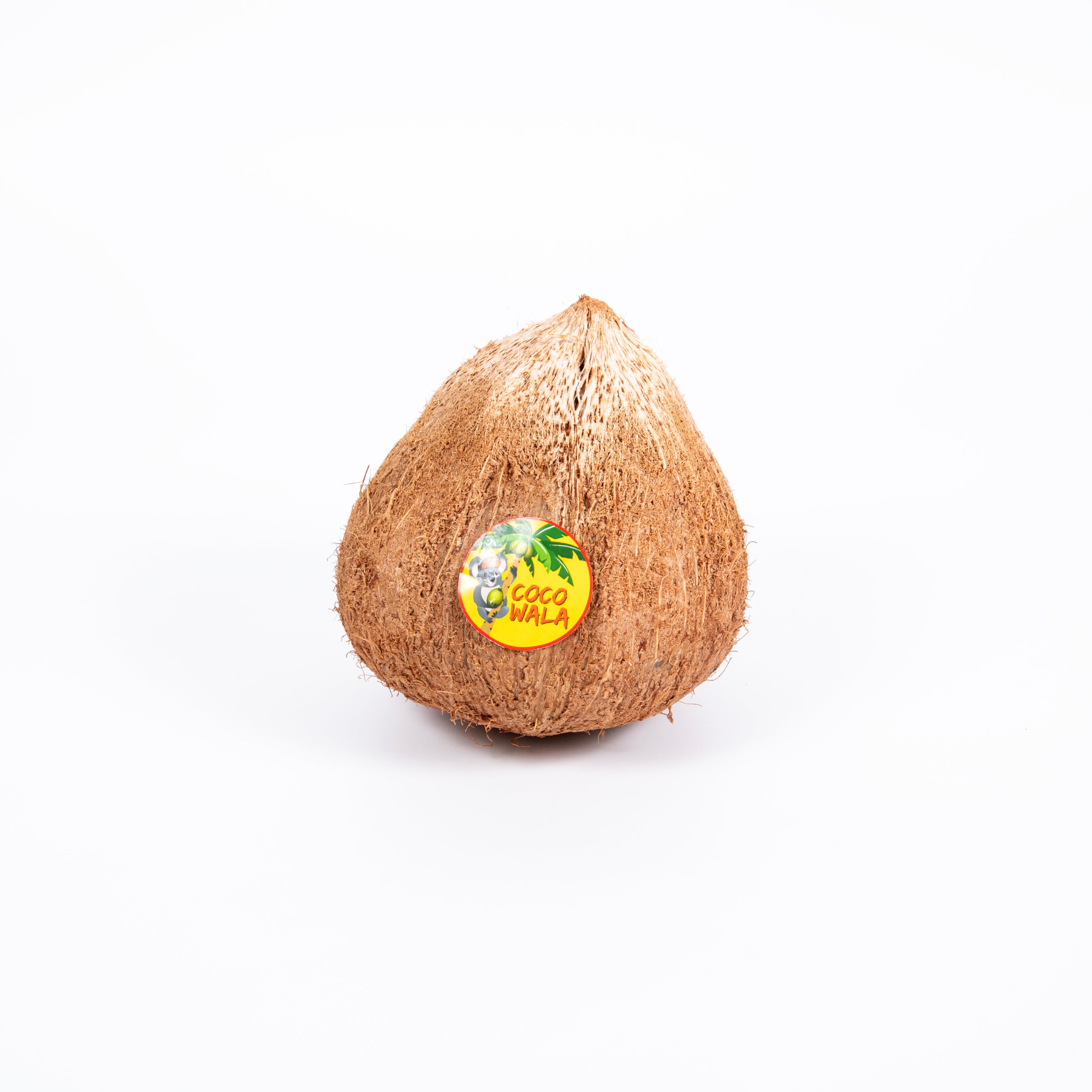 Coconut