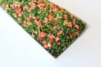 Fresh Salad Trays