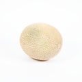 Rockmelon