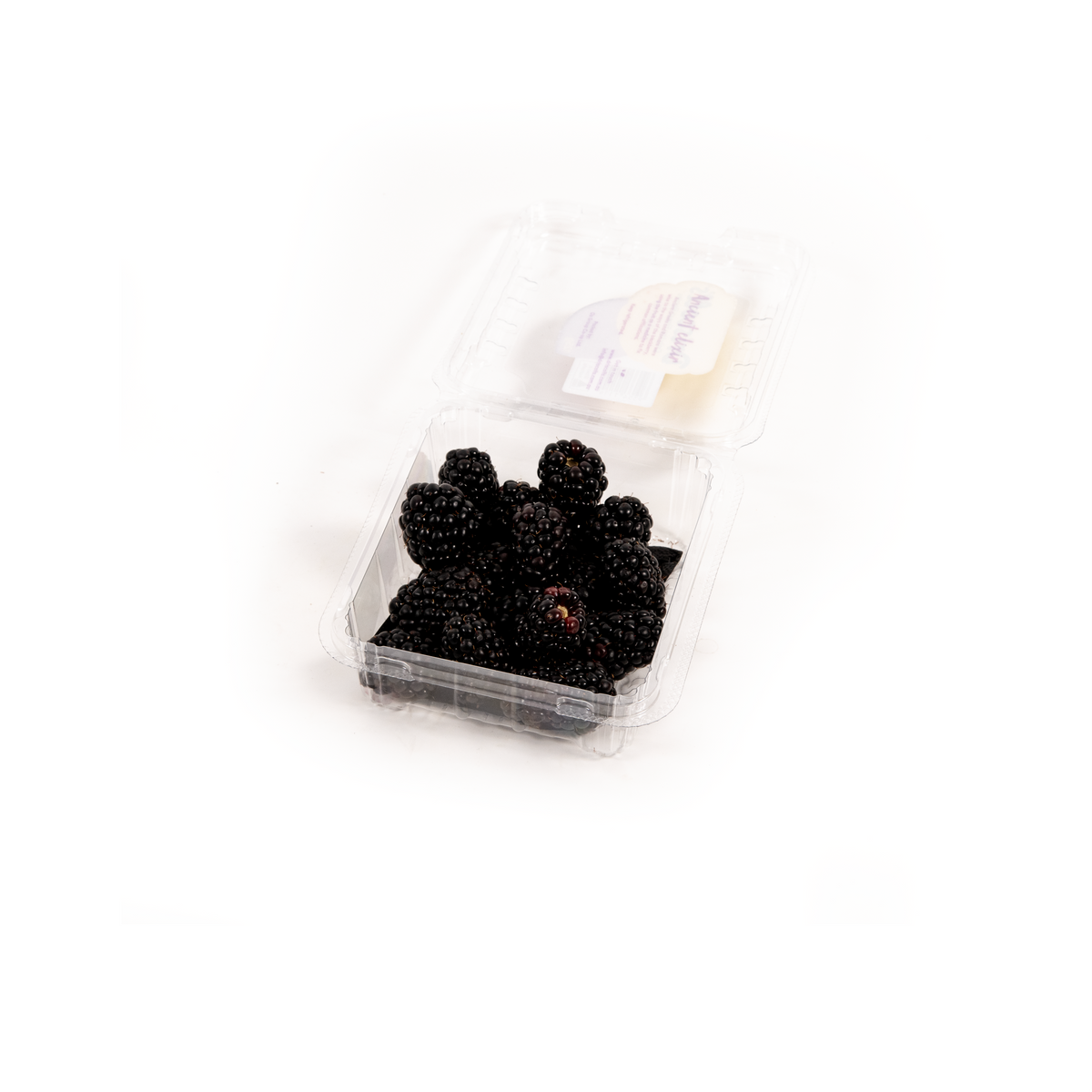 Fresh blackberries in a punnet from Top Fruit Market, showcasing ripe, juicy blackberries ready to enjoy.