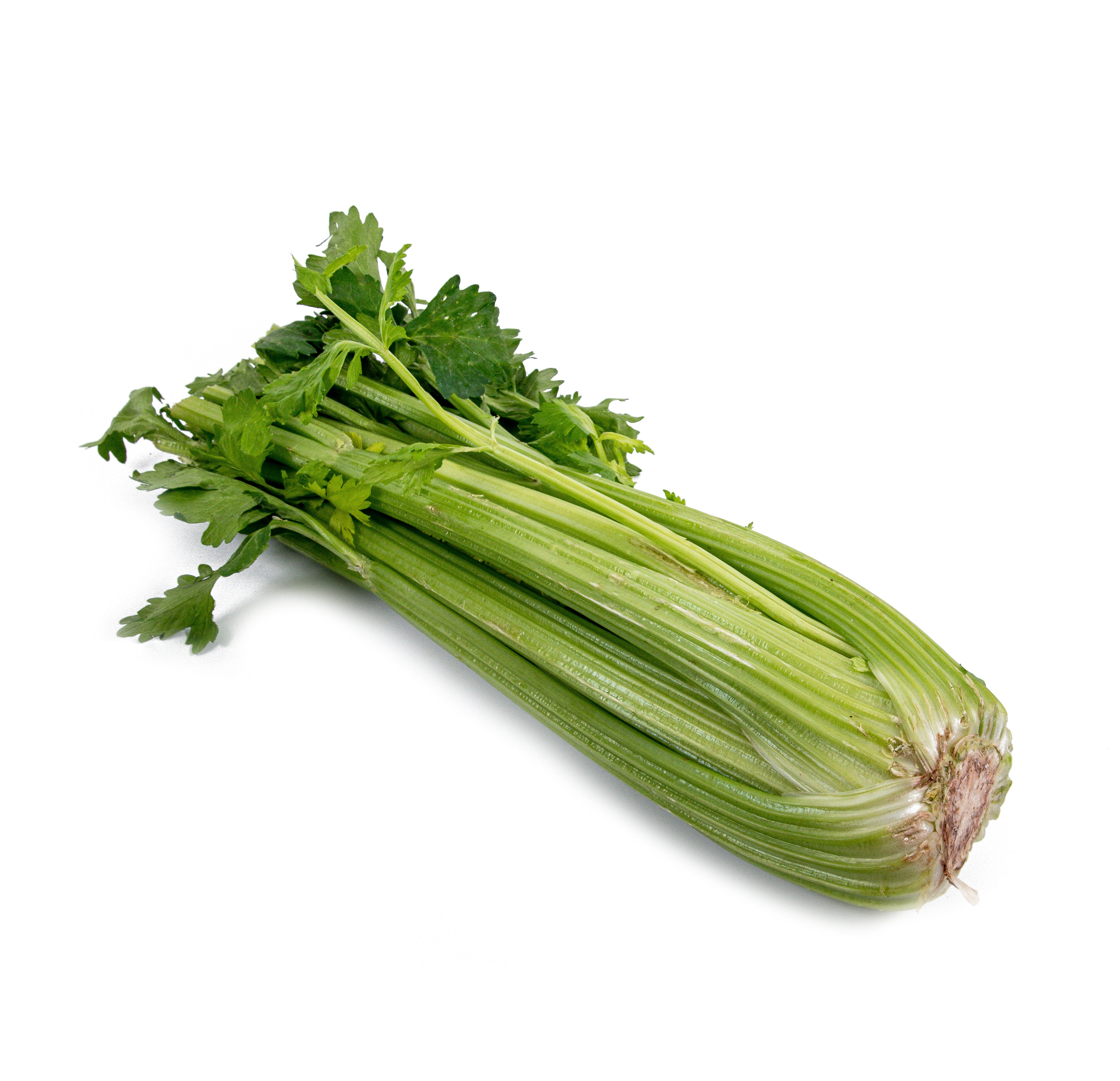 Celery