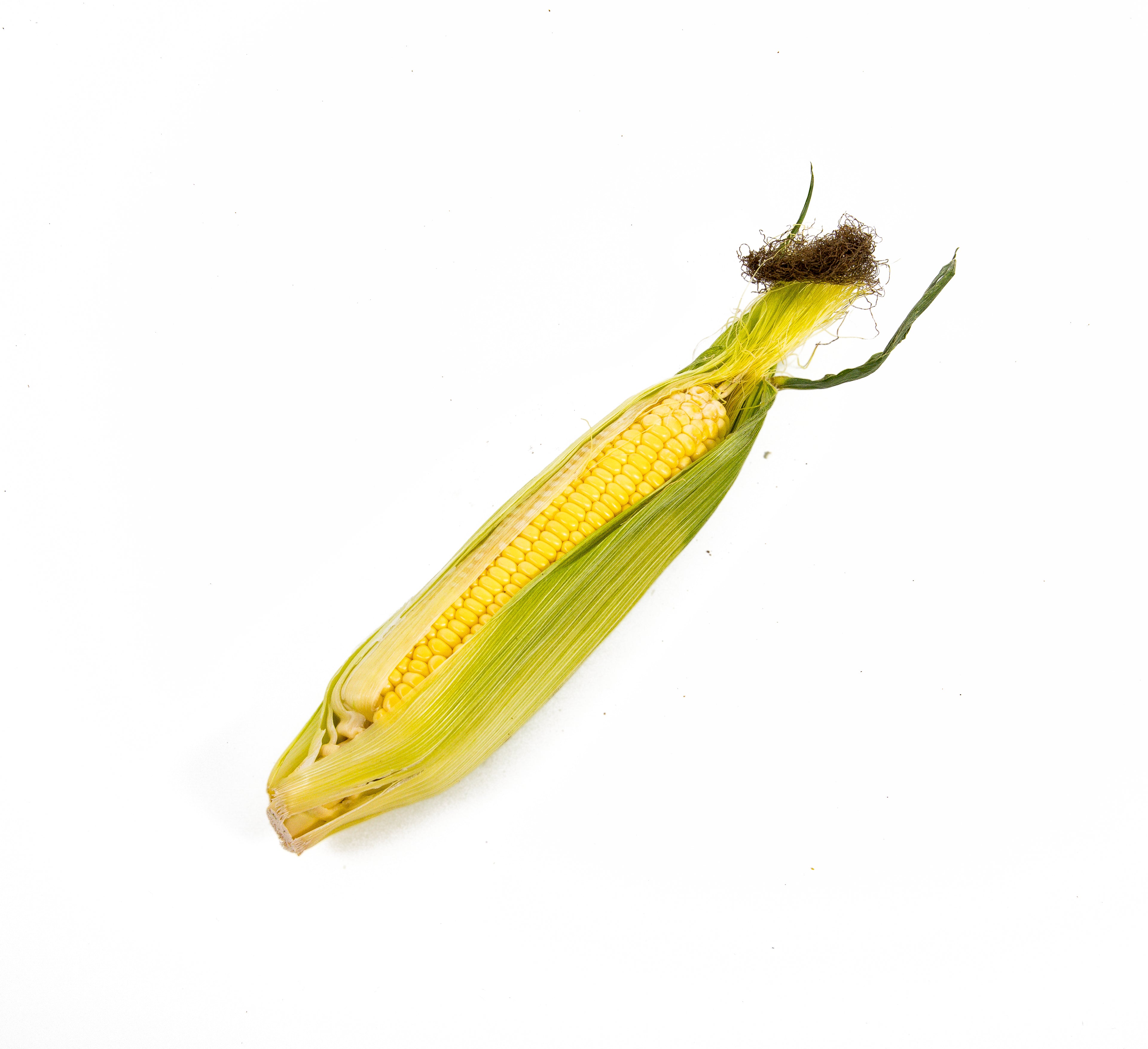 Corn
