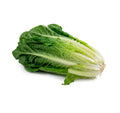 Cos Lettuce