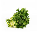 Endive