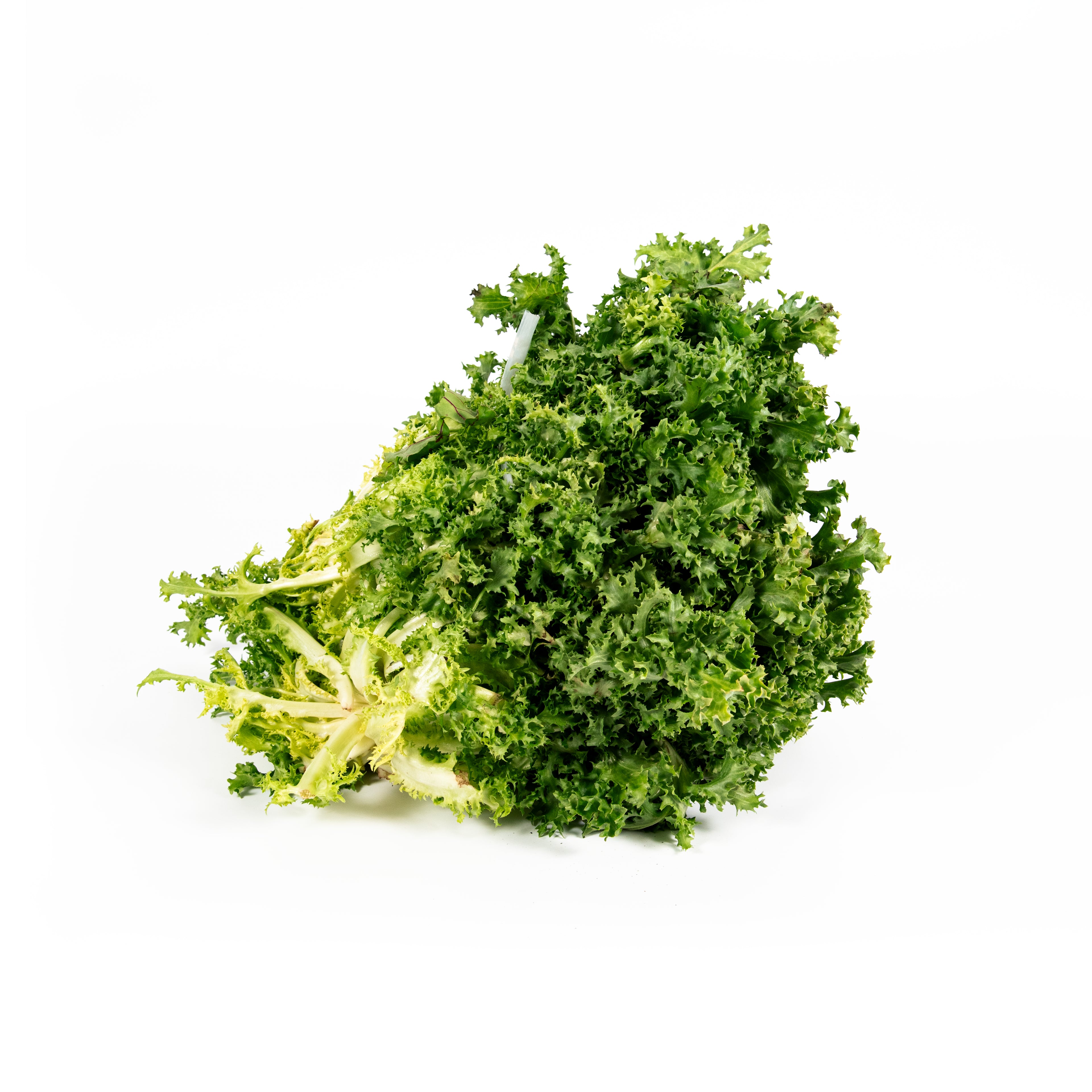 Endive