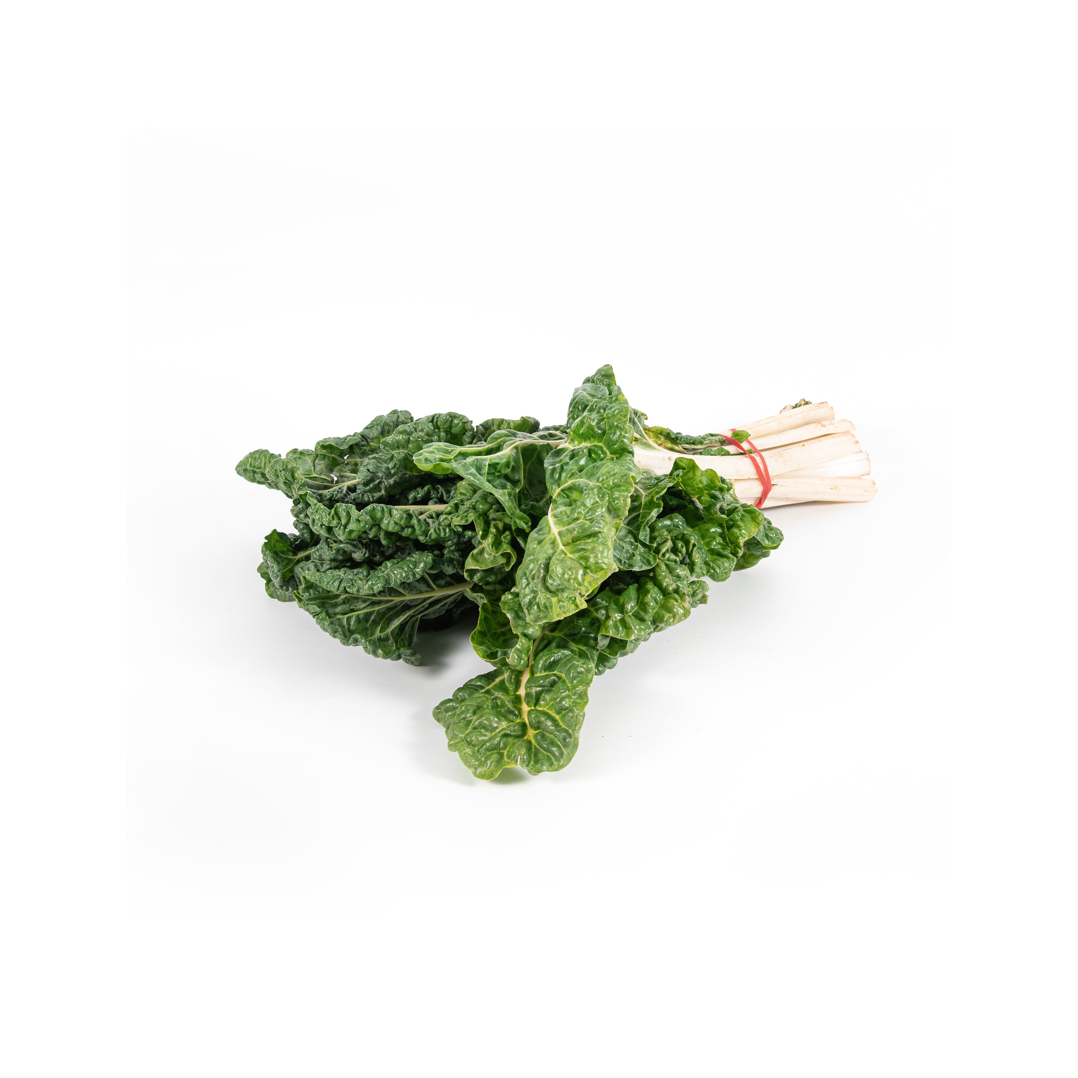 Silverbeet